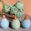 4-Pack Self Watering Planter Insert - 2 Blue and 2 Green Ceramic Watering Globes for Indoor Plants Terracotta Bulbs and Small Plant Pots - 300ml Capacity 1 Weeks Autonomy