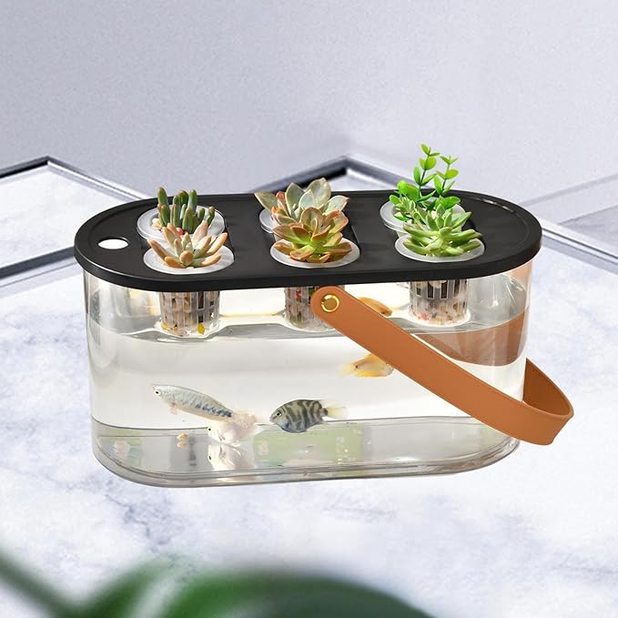 Hydroponics Grower Box with 6 Holes Hydroponic System Indoor Tabletop Mini Aquarium for Plants- Black