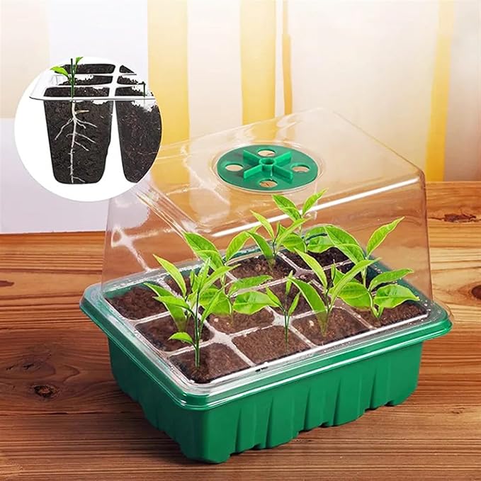 Plant Starter Kit with Full Grow Light 5 Brightness Levels USB Powered Transparent Tray - Adjustable Ventilation Efficient Growth Control Ideal for Indoor Gardening