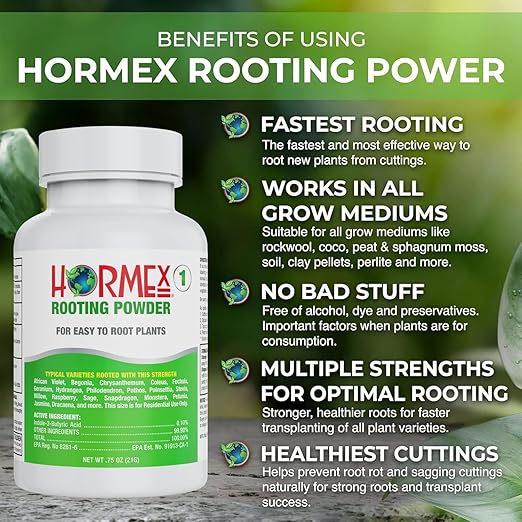 Hormex Rooting Powder #1 &amp Rooting Cubes Combo - Rooting Hormone for Softwood Cuttings &amp Organic Peat Moss Coco Plugs - Fast Healthy Root Growth for Propagation Hydroponics &amp Seed Start