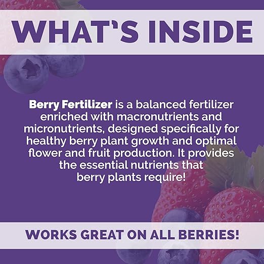 Bloom City's Organic Berry Fertilizer – Liquid Plant Food for Bigger Berries Better Flowering &amp Stronger Root Development 1 Gallon