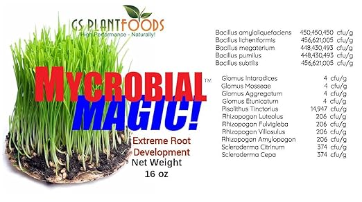 GS Plant Foods- Mycorrhizal Root Stimulator - MYCROBIAL Magic Root Enhancer for Plants Use-16 Ounce Package. 4 Endo &amp 7 Ecto Mycorrhizae Species Plus 5 Species of Beneficial Bacilluis with Humic.