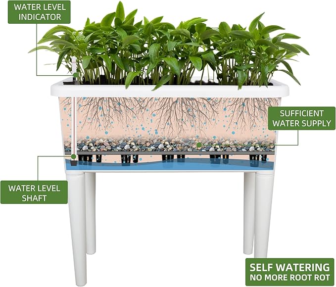 Dexceder 13.2 Gallon Self Watering Raised Garden Bed with Ventilation Transparent Lid Greenhouse Deepen Vegetable Flower Box Planter Pot with Removeble Legs &amp Water Level Indicator (White)