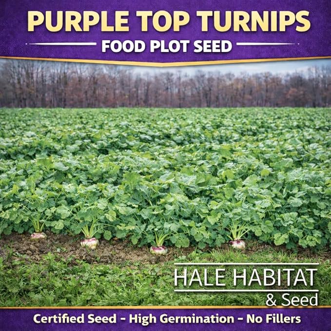 Hale Habitat &amp Seed Purple Top Turnip Food Plot Seed 5 lbs