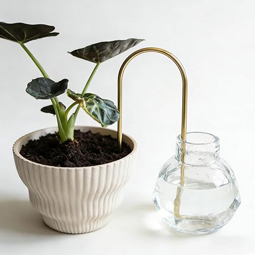 Self-Watering Plant Wick System Brass and Cotton U-Shaped Automatic Drip Irrigation for House Plants (Gold)