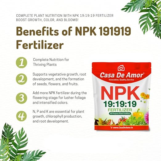 NPK 19-19-19 Fertilizer | Balanced Water-Soluble Plant Food for Growth Flowering &amp Yield Boost | For All Plants | 400 gm