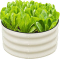SnugNiture 2x2x1ft Round Galvanized Raised Garden Bed Kit Outdoor Metal Planter Box for Planting Plants Vegetables White