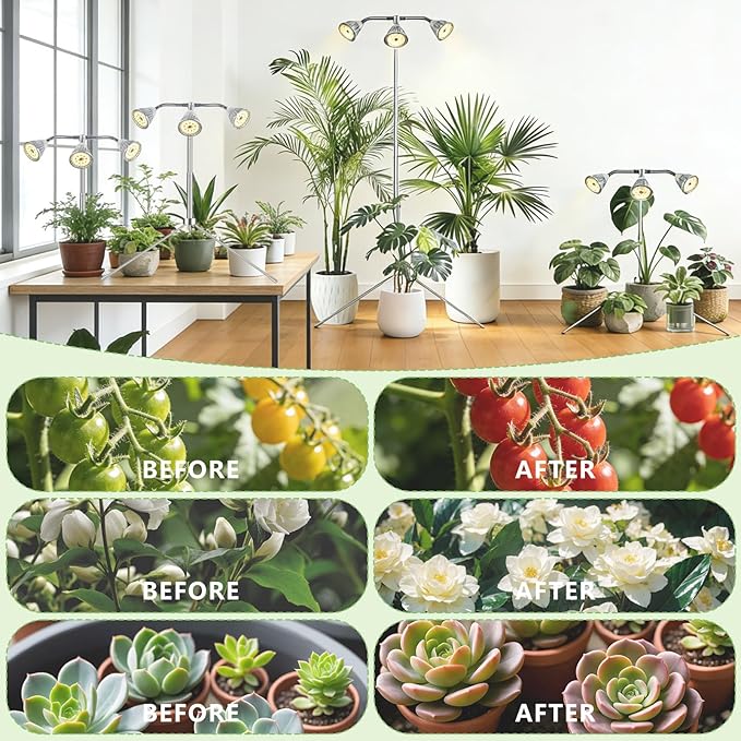 Full Spectrum Grow Lights for Indoor Plants 3 Heads Aluminum Alloy Growing Lamps Covers More Plants 15-62In Height Adjustable Plant Light with Detachable Tripod Stand Auto On/Off Timer for Offices