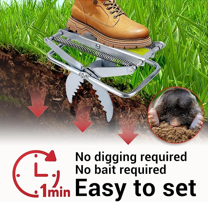 Mole Trap Scissor 2 Pack Upgraded Mole Traps for Lawns That Kill Best Galvanized Steel Mole Killer Easy Step Setup
