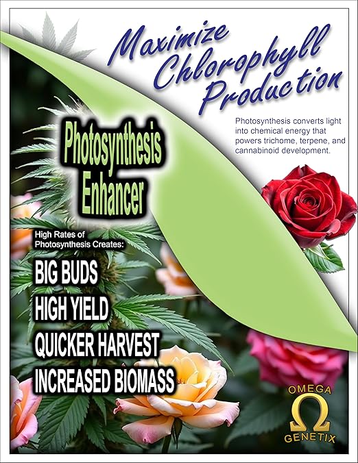Photosynthesis Enhancer Foliar Spray