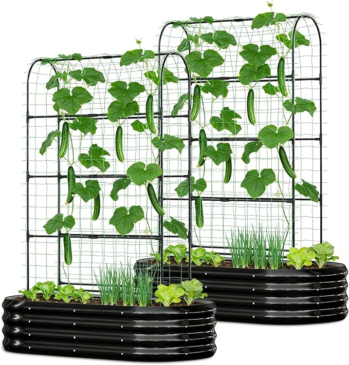 2 in 1 Galvanized Raised Garden Bed with 71 H Arch Trellis for Climbing Plants Outdoor Gardening Planter Box with Climbing Net for Flowers Vegetables Fruits Herbs Black