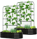 2 in 1 Galvanized Raised Garden Bed with 71 H Arch Trellis for Climbing Plants Outdoor Gardening Planter Box with Climbing Net for Flowers Vegetables Fruits Herbs Black