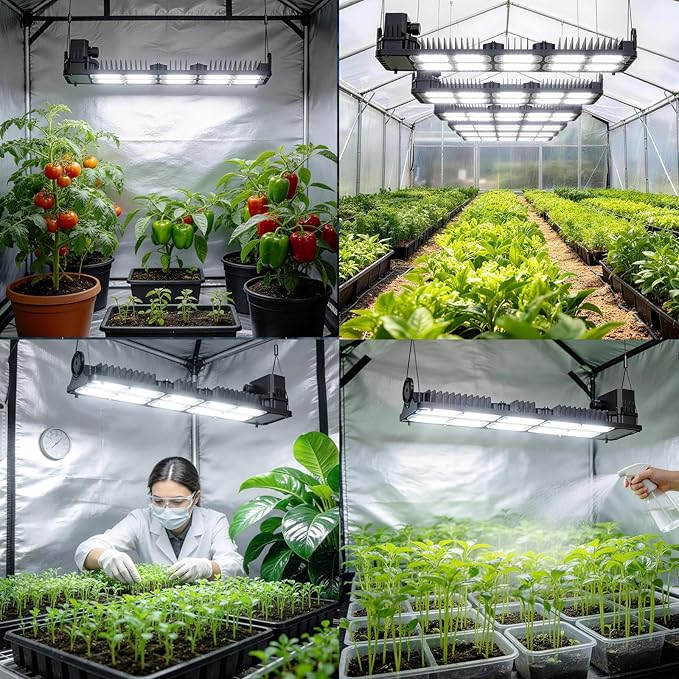 SANSI Grow Lights for Indoor Plants 200W Plant Lights for Indoor Growing Full Spectrum High PPFD IP65 Dimmable Auto On Off Growing Lamp for 2x4/3x3ft Grow Tent Seed Starting Vegetables Bloom