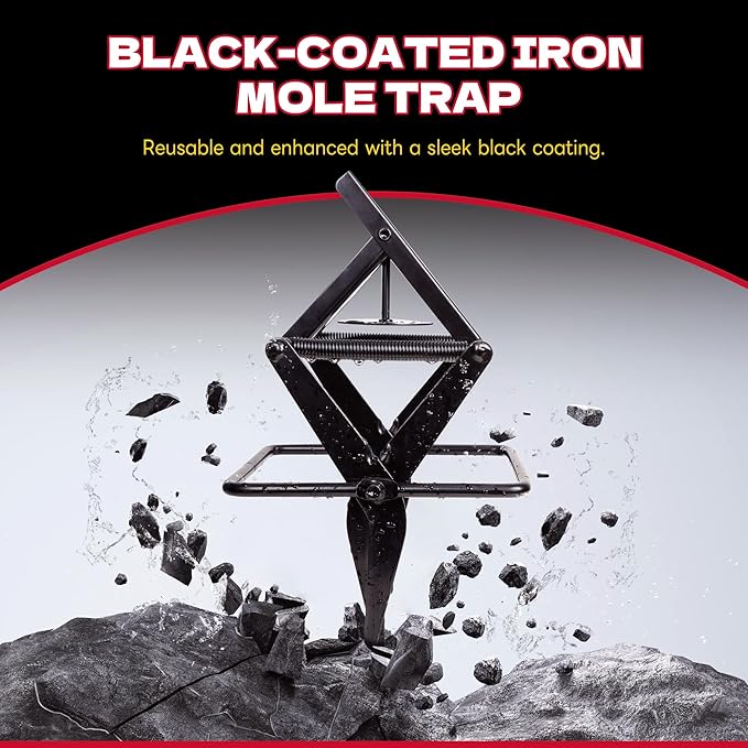 Mole Traps 2 Pack Scissor Mole Trap That Kill BestMole Traps for Lawns GroundEasy Step Mole EliminatorBlack Coated