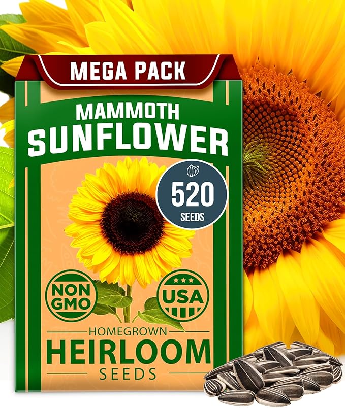 HOME GROWN 𝗨𝗦𝗔 𝗣𝗥𝗘𝗠𝗜𝗨𝗠 𝗢𝗥𝗚𝗔𝗡𝗜𝗖 Watermelon Vegetable Seeds 15 &amp Golden Bantam Corn 100 &amp Contender Bush Bean 28 &amp Sunflower 520