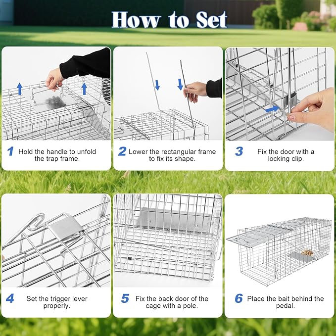 Humane Live Animal Trap Heavy Duty Folding Raccoon Traps Cage for Cat Squirrel Skunk Raccoon Fox Catch and Release Large Size 31.1 * 11 * 12.6 Inch