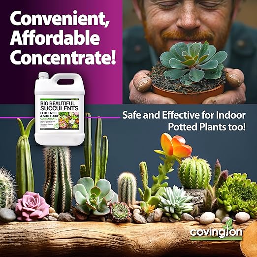 Covington Succulent Fertilizer Liquid (1 Gallon) – Cactus &amp Succulent Plant Food for Indoor and Outdoor Use – Slow Release Liquid Fertilizer for Houseplants – Made in USA