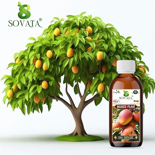Sovata® Mango Tonic Fertilizer Essential Organic Powerful Liquid Tonic for Fast Growth and Heavy Fruiting of Mango Plants. (200 ml)