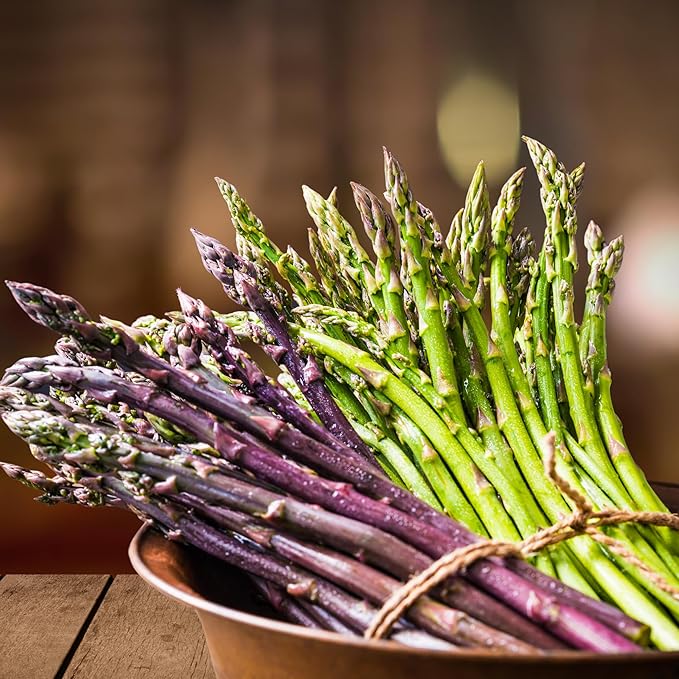 Asparagus Garden Variety Pack 30 Plants (10 of Each) - Mary Washington Purple Passion Jersey Knight - Asparagus Bare Root Plants from Hand Picked Nursery