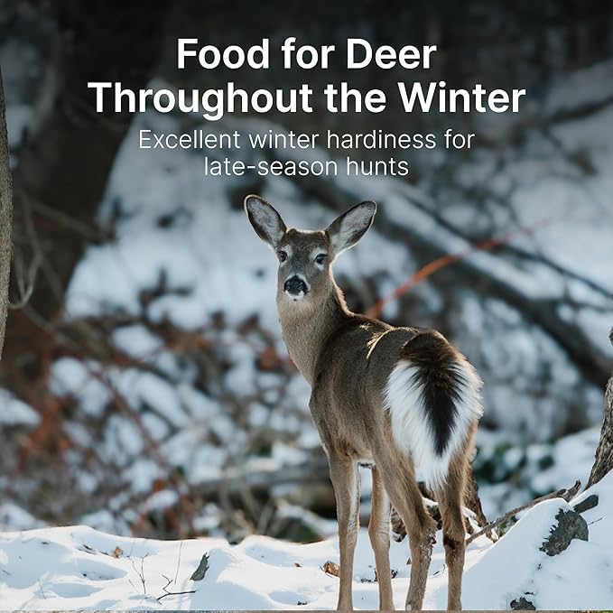 HIT LIST SEED®No Till Alfalfa Food Plot Seeds for Deer [Perennial] - Deer Food Plot Seed Throw and Grow - Deer Plot Seed Mix Perennial No Plow - 100% Alfalfa - Spring Summer &amp Fall Planting - 10