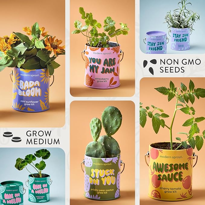 Modern Sprout Complimentary Color Grow Kits (Pack of 6) - Seed Starter Kit - Includes Strawberry Sunflower Cactus Tomato Melon &amp Lavender Seeds - Gardening Gifts that Grows with Love
