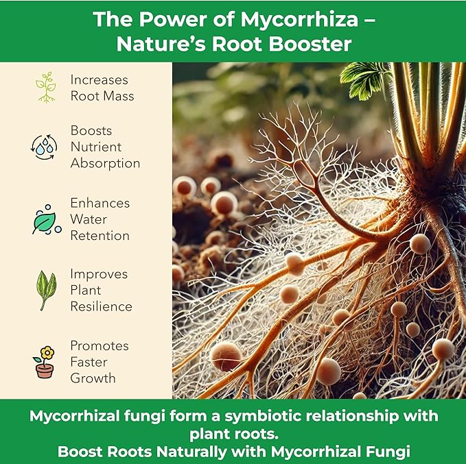 Organic Original Super Soil Concentrate with Mycorrhizae – Living Soil Boosts Roots &amp Buds for Seeds &amp Clones - Indoor &amp Outdoor Growing - Mix 1:4 with Topsoil Potting Soil (5 quarts)