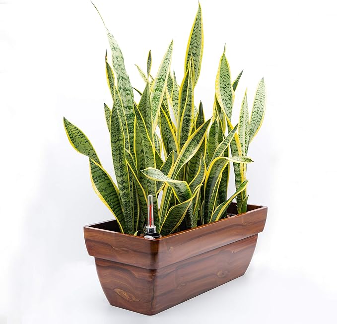 7.8 in. Dark Wood Plastic Rectangle Self Watering Planter Pot