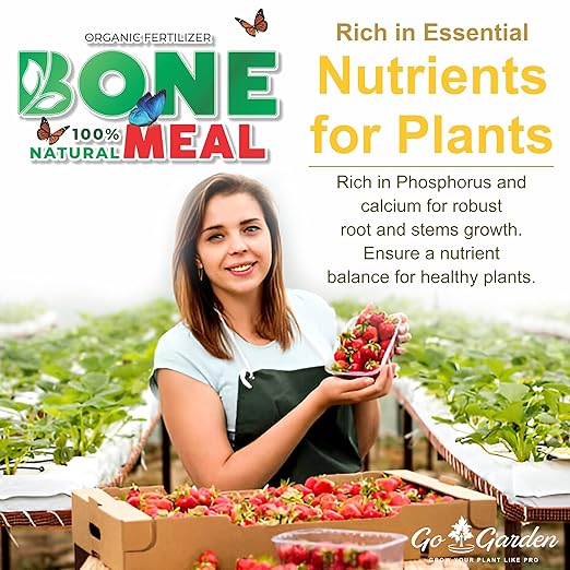 Go Garden Organic Bone Meal Fertilizer for Plants 400 GMS