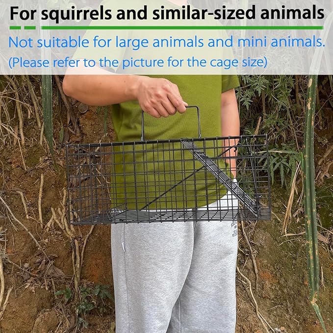 Live Squirrel Trap Heavy Duty Humane Animal Cage Trap (No Assembly Required)