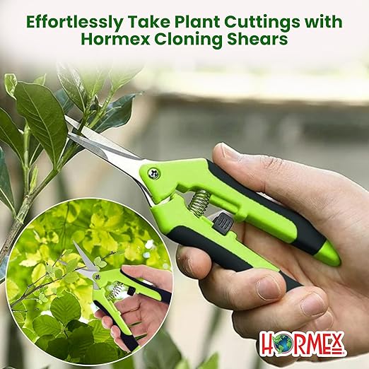 Hormex Rooting Powder #3 Rooting Cubes &amp Shears Combo - Rooting Hormone for Common Houseplant Cuttings | Root Starter Cubes for Home &amp Garden Plants | Precision Straight-Blade Shears (50 Grow