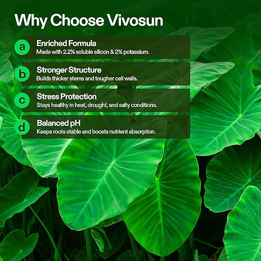 VIVOSUN StemX (0-0-2) Silica for Plants Soluble Liquid Silicon Plant Supplement Fertilizer Nutrient Solution for Strong Stems and Healthy Leaves Boost Resilience pH Balance 32 oz