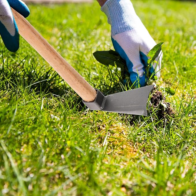 2pcs Gardening Tool Set Wooden Handle Digging Hoe and Steel Rake for Soil Loosening and Weeding in Garden and Vegetable Beds