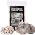 North Spore Organic Italian Oyster (100 ct) Mushroom Plugs for Logs | Premium Quality Mushroom Plug Spawn | Handmade in Maine USA | Grow Gourmet Mushrooms Outdoors on Logs