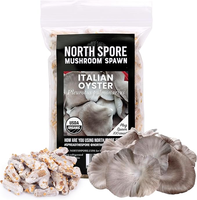 North Spore Organic Italian Oyster (100 ct) Mushroom Plugs for Logs | Premium Quality Mushroom Plug Spawn | Handmade in Maine USA | Grow Gourmet Mushrooms Outdoors on Logs