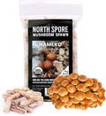 North Spore Organic Nameko (100 ct) Mushroom Plugs for Logs | Premium Quality Mushroom Plug Spawn | Handmade in Maine USA | Grow Gourmet Mushrooms Outdoors on Logs | Pholiota nameko
