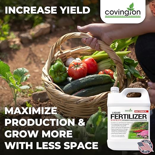 Covington 10-10-10 NPK Liquid Fertilizer (32oz) All Purpose Liquid 10 10 10 NPK - Lawn Food with Nitrogen Phosphorus Potassium Concentrate for Lawns Outdoor &amp Indoor Plants Vegetable Gardens