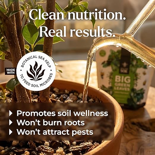 Big Green Leaves Indoor Plant Food – 4X Concentrated Houseplant Fertilizer with Sea Kelp – Makes 90 Gallons – Fast-Acting Mineral Formula Made in USA (1 lb)