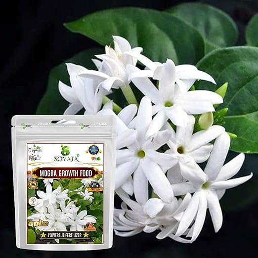 Sovata® Mogra Growth Food Powerful Organic Fertilizer for fast growth and heavy flowering of Mogra Plant. (400 gm)