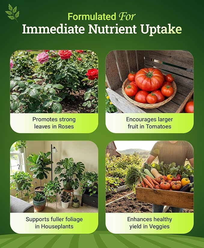 FoxFarm Grow Big Liquid Plant Food - 6-4-4 House Plant Fertilizer for Lush Vegetative Growth Fast Nutrient Uptake for Roses Tomatoes &amp Veggies - 2.5 Gallon Size Concentrate