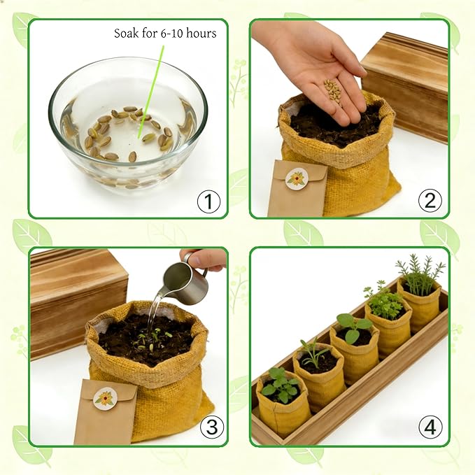 5 Herb Garden Kit with Wooden Box - Including Basil Thyme Parsley Rosemary Mint - Windowsill Herb Garden for Kitchen Gardening Gifts for Mom Women Men Gift Ideas for Birthday Housewarming