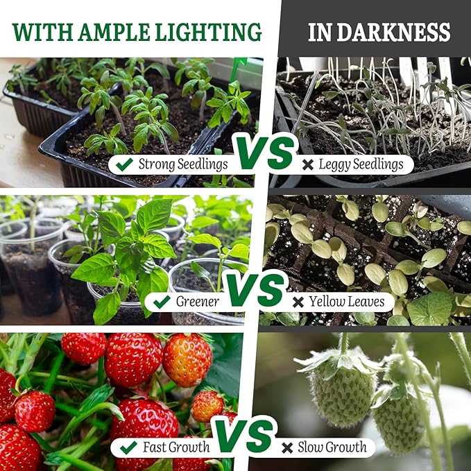 SOLIGT Grow Lights for Seed Starting 2FT LED Full Spectrum Seedling Grow Lights with 4 Brightness &amp 8/12/18H On Timer Adjustable Height Stand for Indoor Plants Seedlings Herbs &amp Vegetables