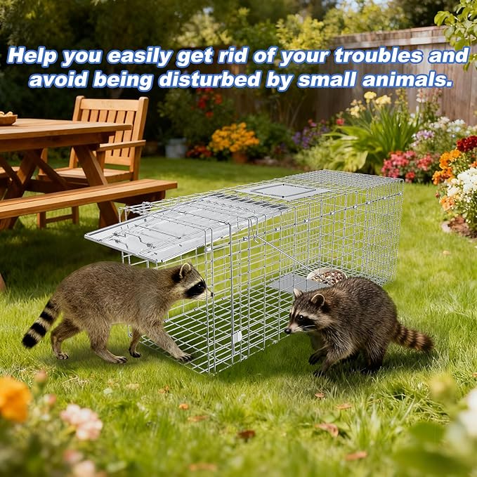 Humane Live Animal Trap Heavy Duty Folding Raccoon Traps Cage for Cat Squirrel Skunk Raccoon Fox Catch and Release Large Size 31.1 * 11 * 12.6 Inch