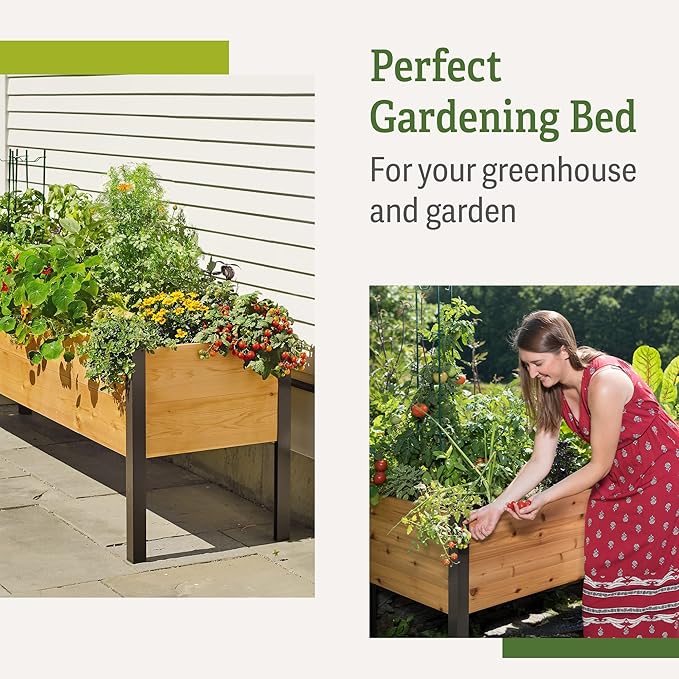 Gardener's Supply Company Elevated Cedar Raised Garden Bed | 2' x 8' Heavy Duty Standing Planter Box with Aluminum Corners for Outdoor Plants Vegetables Flowers | Perfect for Patio &amp Backyard
