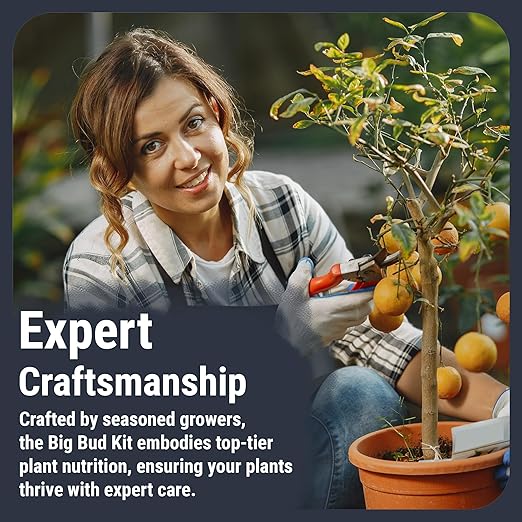 Cronk Nutrients Big Bud Kit: Complete Nutrient System – Micro Grow Bloom Bud Booster &amp CalMag – Best Indoor &amp Outdoor Plant Fertilizer – Easy to Use for Robust Growth &amp Enhanced Flower