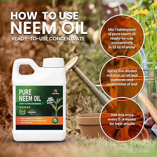 Ready-to-Use Concentrate Neem Oil - 100% Pure &amp Natural | Ready to Mix | Just Add Water (1 Gallon)