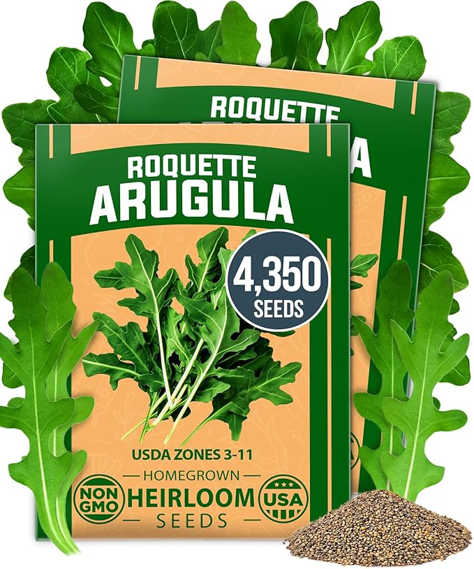 Root Vegetable Seed Variety Pack – Over 8600 Non-GMO USA Heirloom Seeds: Arugula Tendersweet Carrots Detroit Dark Red Beets &amp Cherry Belle Radish – Fast Growing for Spring &amp Fall Gardens