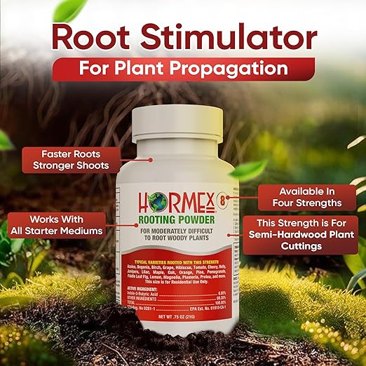 Hormex Rooting Powder #8 Grow Cubes Shears Combo - Rooting Hormone for Semi-Hardwood Plants &amp Medicinal Cuttings | Root Starter Cubes for Cloning Plants | Precision Straight-Blade Shears (50 Plu