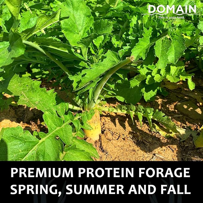Domain Outdoor Illicit Food Plot Seed Fast Growing Variety of Deer Radish Perfect Seed for Spring Summer or Fall Leafy Greens Sugar-Filled Tap Root Up to 8 Tons of Forage Per Acre 1/2 Acre