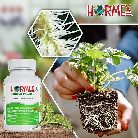 Hormex Rooting Powder #1 &amp Rooting Cubes Combo - Rooting Hormone for Softwood Cuttings &amp Organic Peat Moss Coco Plugs - Fast Healthy Root Growth for Propagation Hydroponics &amp Seed Start