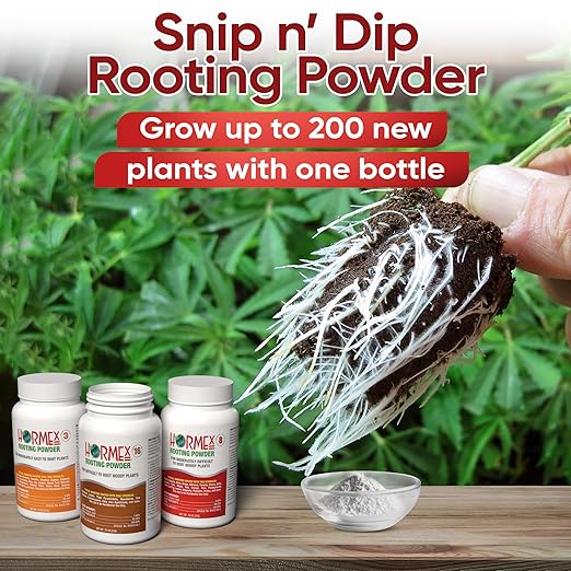 Hormex Rooting Powder Combo #3 8 16 (0.30-1.6 IBA) for Common Home Garden Plants to Difficult Hardwood - Root Powder Root Stimulator for Plants Rooting Hormone for Cuttings Cloning &amp Propagat